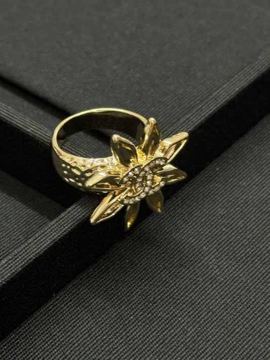 Rings -2